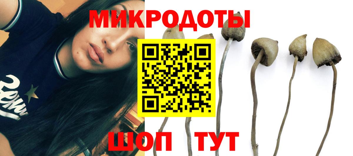 Галлюциногенные грибы мухоморы  Вход с VPN  Клин 